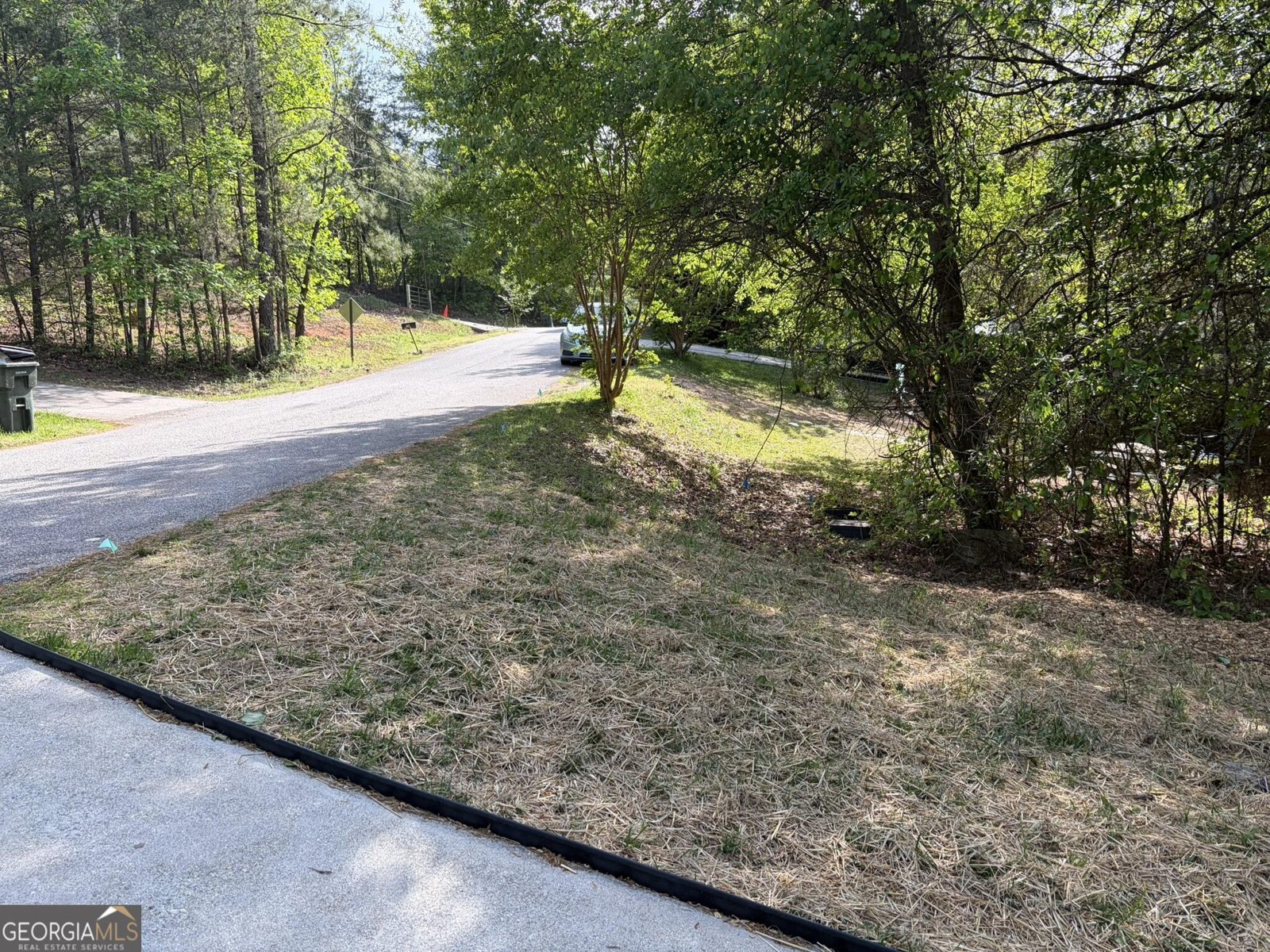 115 Richard Street Clarkesville - Photo 15