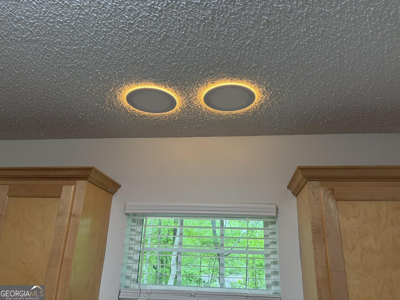 115 Richard Street Clarkesville - Photo 8