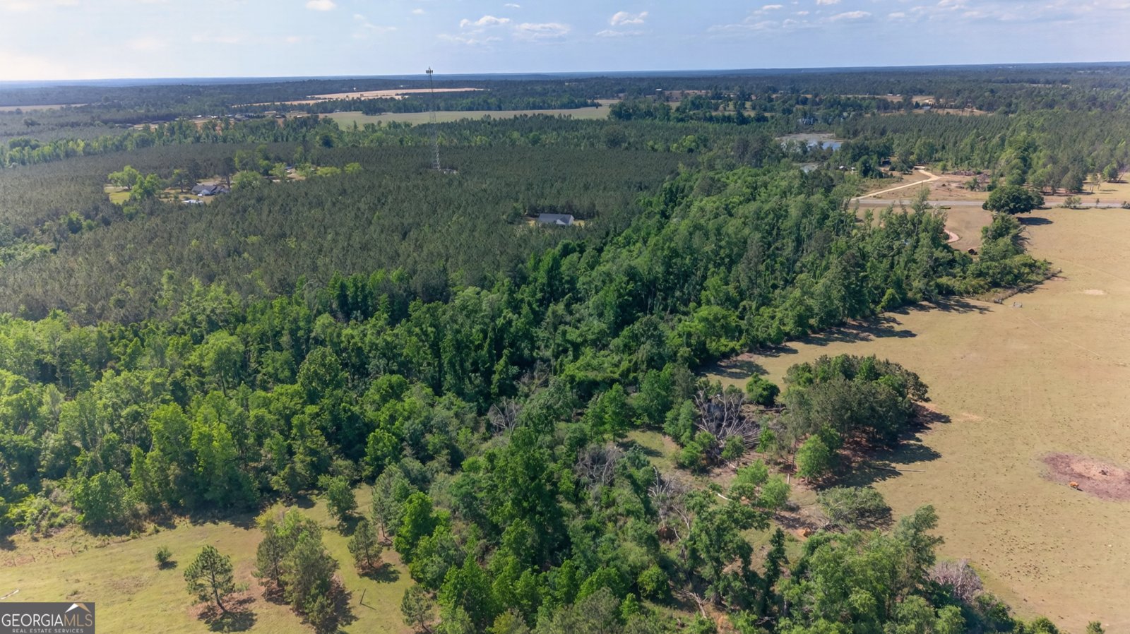 3472 Highway 46 Soperton - Photo 6