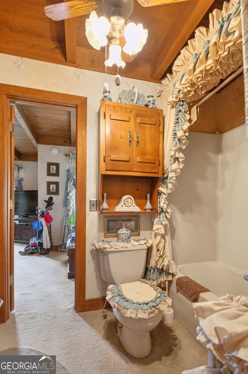 3472 Highway 46 Soperton - Photo 65
