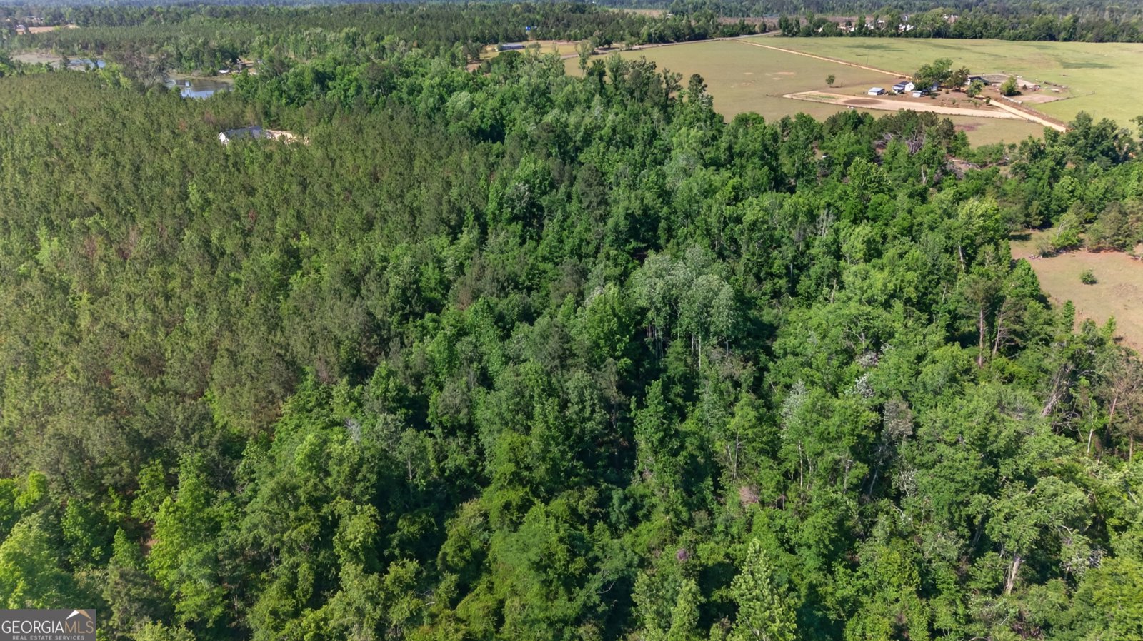 3472 Highway 46 Soperton - Photo 7