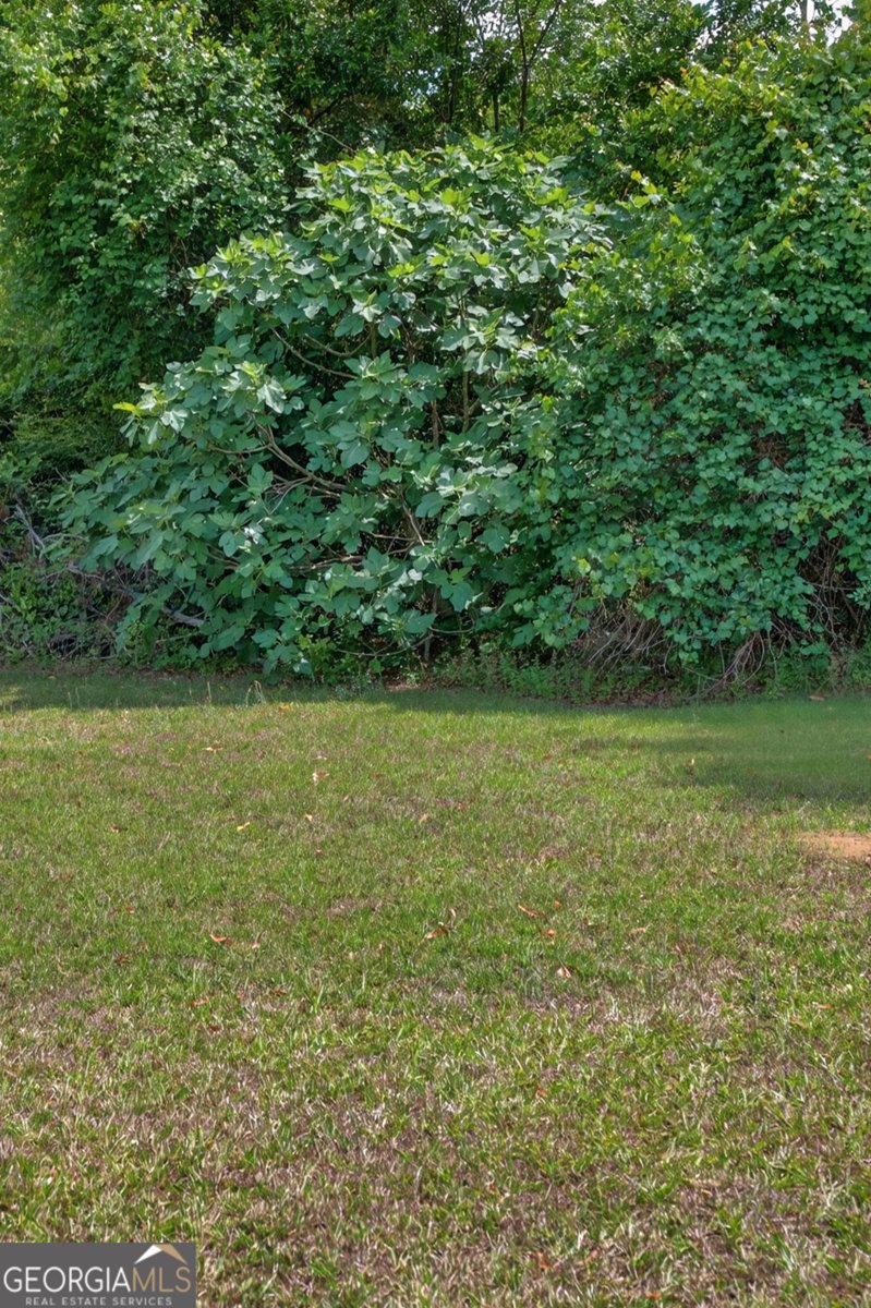 3472 Highway 46 Soperton - Photo 75