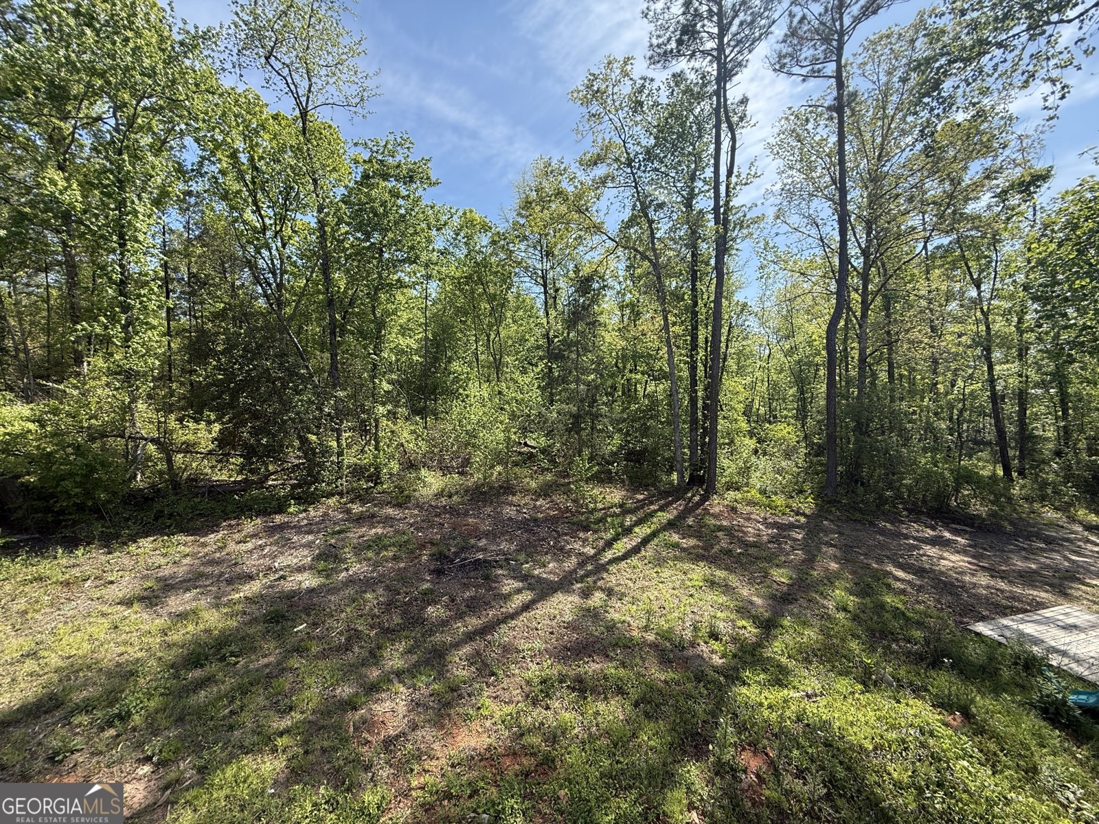 9 Cherokee Resort Road Pine Mountain - Photo 28