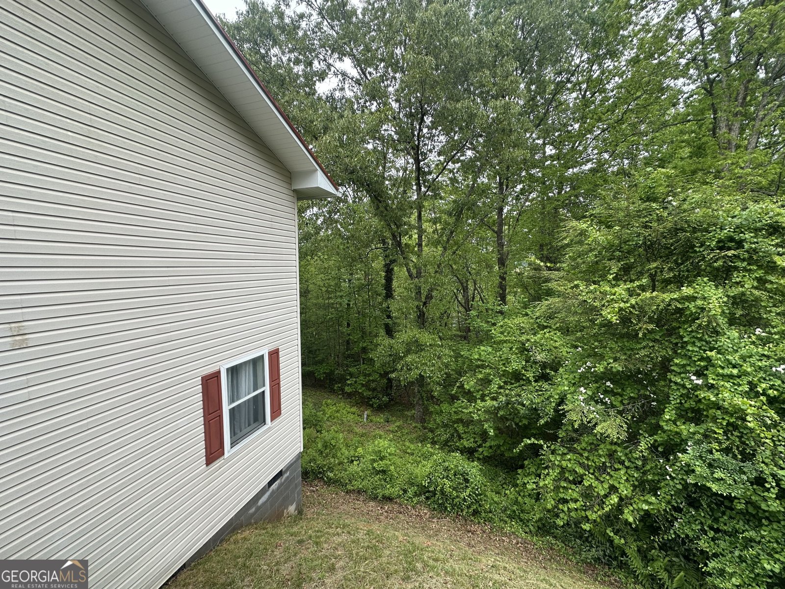 196 White Street Dillard - Photo 10