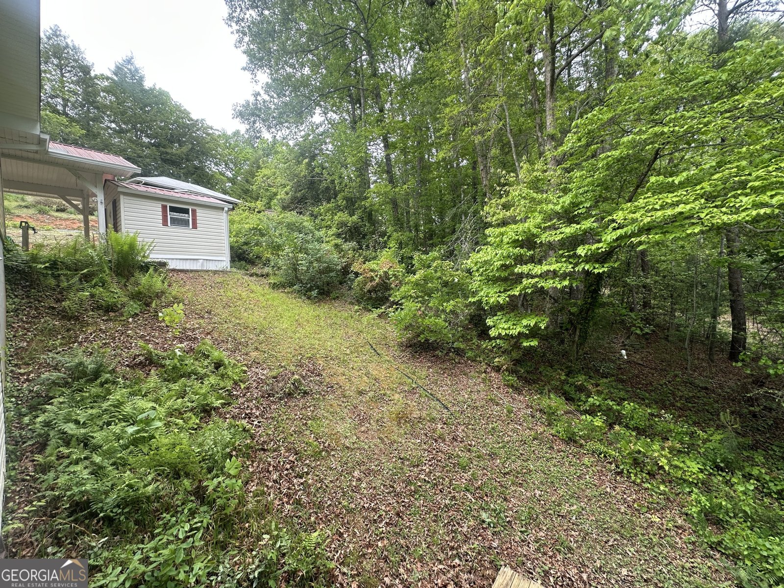 196 White Street Dillard - Photo 33