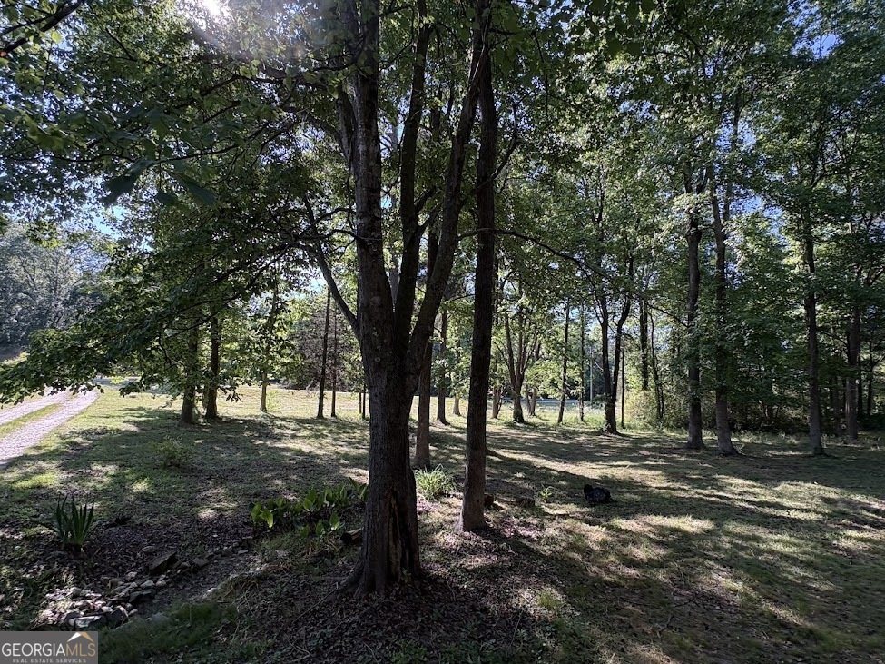 2240 Providence Church Road Lavonia - Photo 11