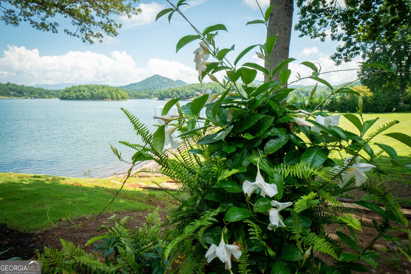 313 Omega Way Hiawassee - Photo 48