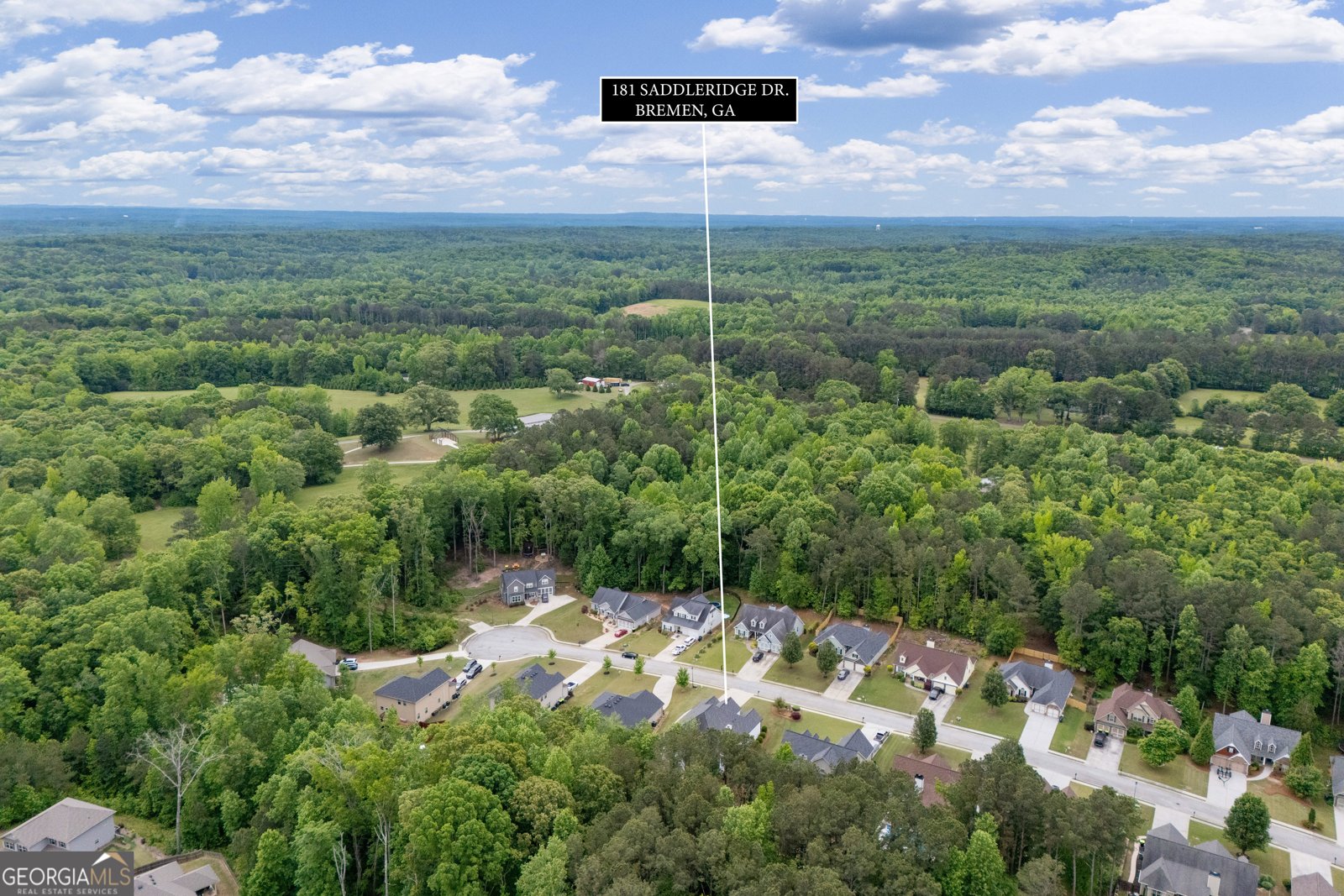 181 Saddleridge Drive Bremen - Photo 69