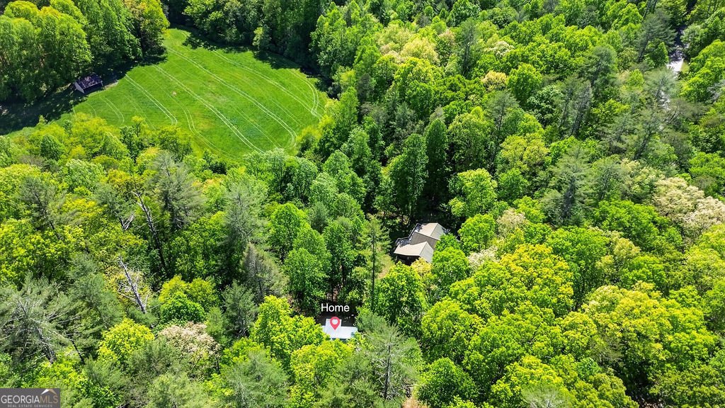 48 Twin Creeks Blue Ridge - Photo 33