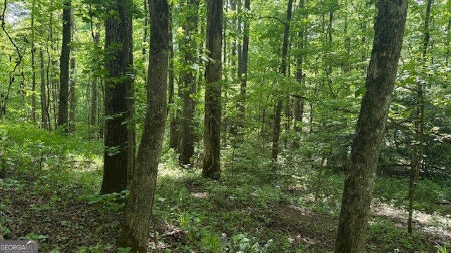 616 Gibson Trail Jasper - Photo 7