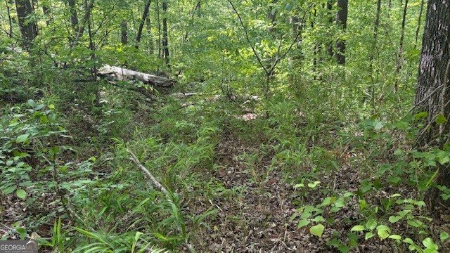 616 Gibson Trail Jasper - Photo 8