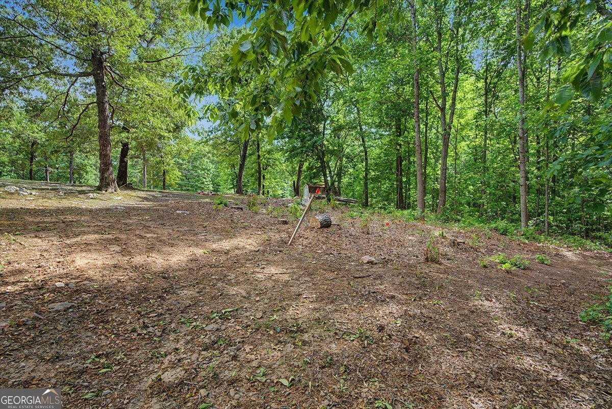 650 Raburn Road Bremen - Photo 40