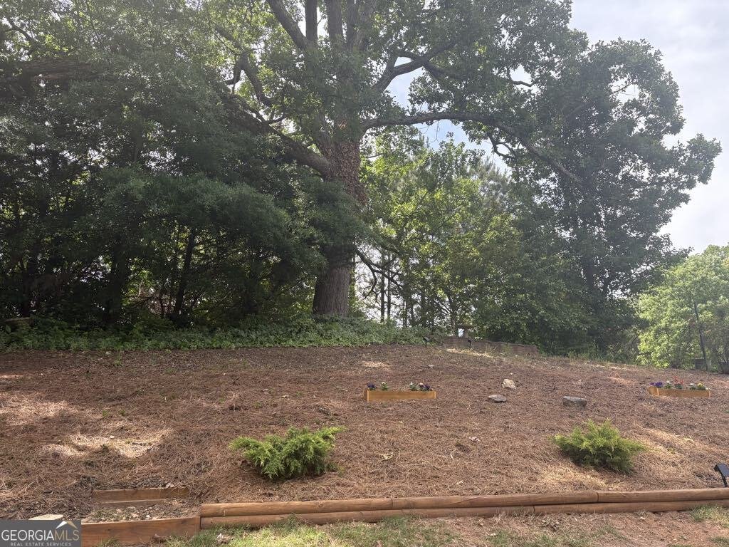 104 Farm Valley Drive Canton - Photo 33
