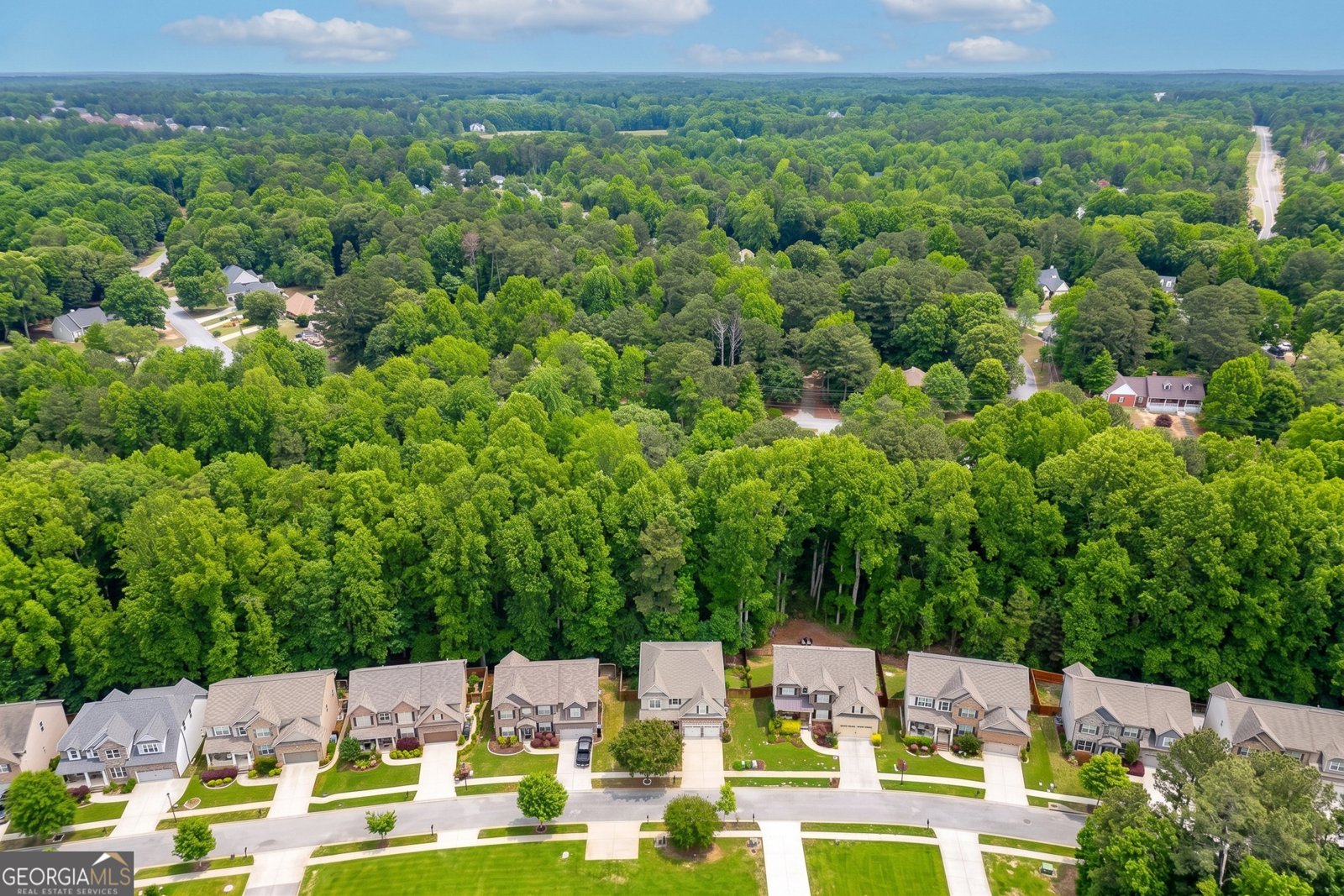 2201 Spring Sound Lane Buford - Photo 46
