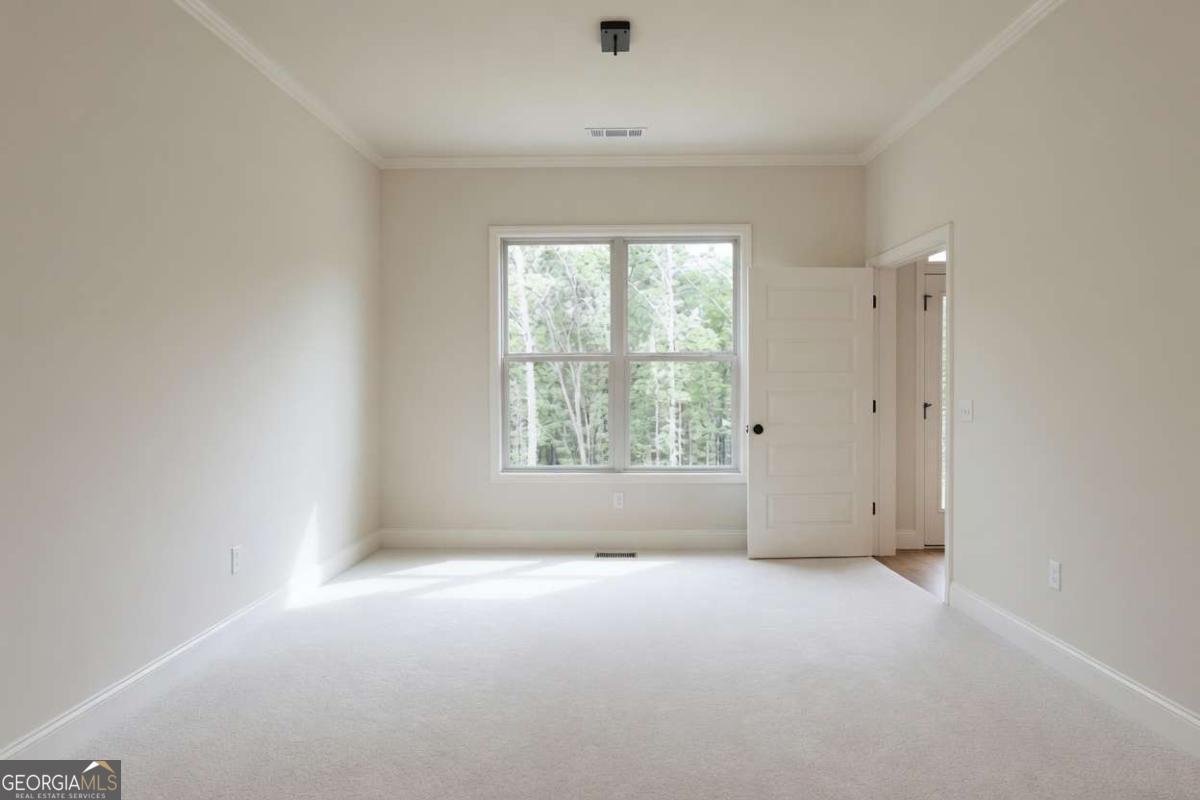 121 Matthews Road Canton - Photo 26