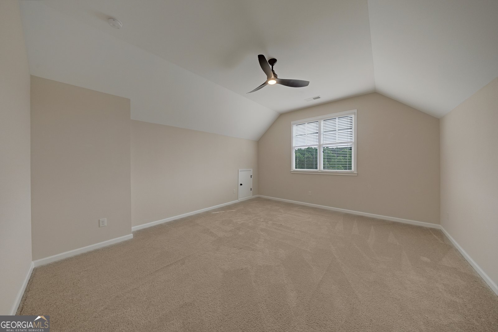 121 Matthews Road Canton - Photo 78
