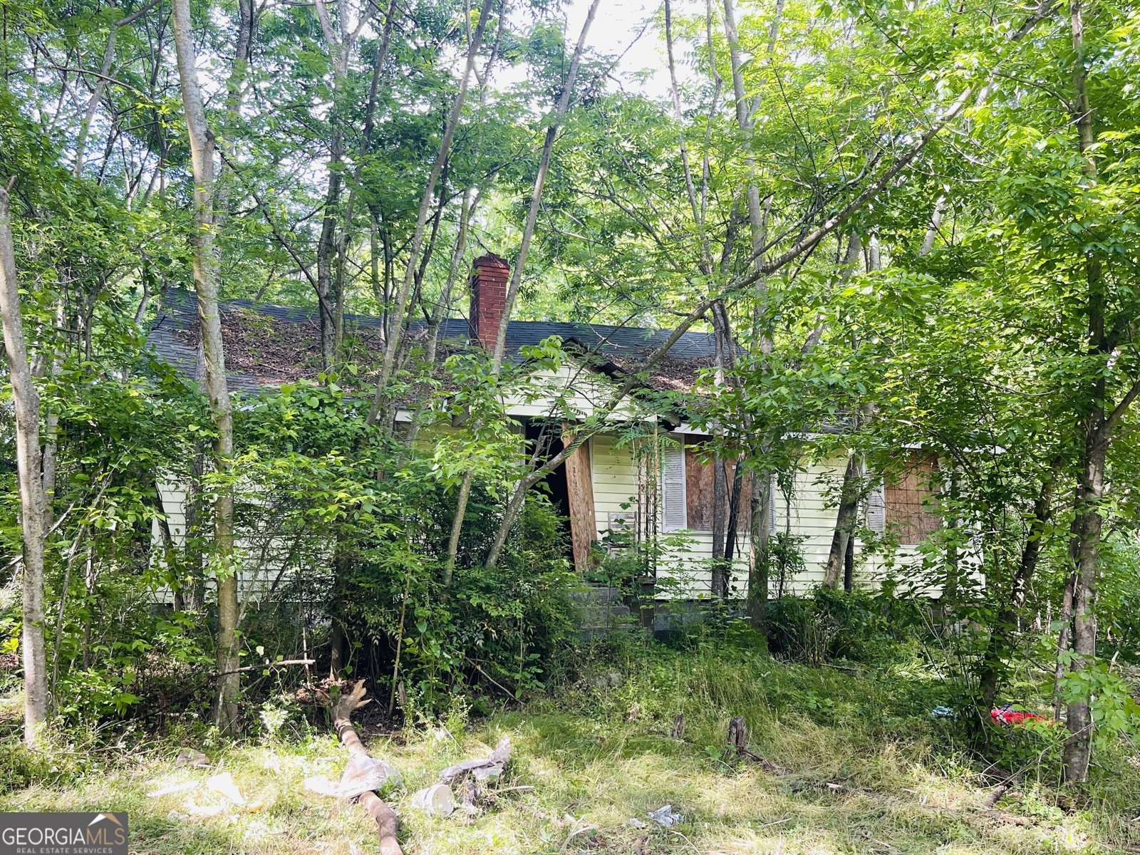 254 Morgan Valley Road Rockmart - Photo 1
