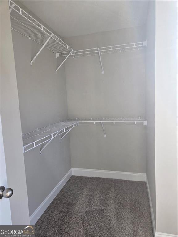 2970 Cannon Bridge Road Demorest - Photo 27
