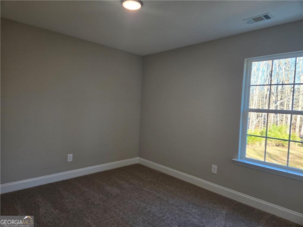 2970 Cannon Bridge Road Demorest - Photo 33
