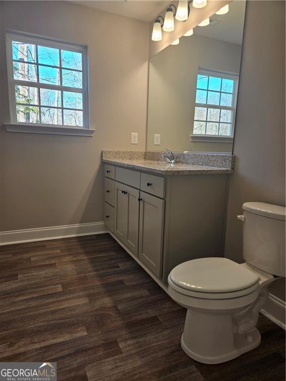 2978 Cannon Bridge Road Demorest - Photo 28