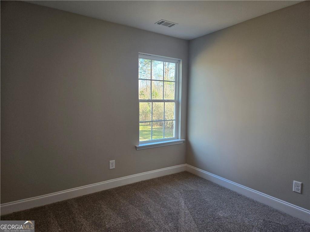 2978 Cannon Bridge Road Demorest - Photo 32