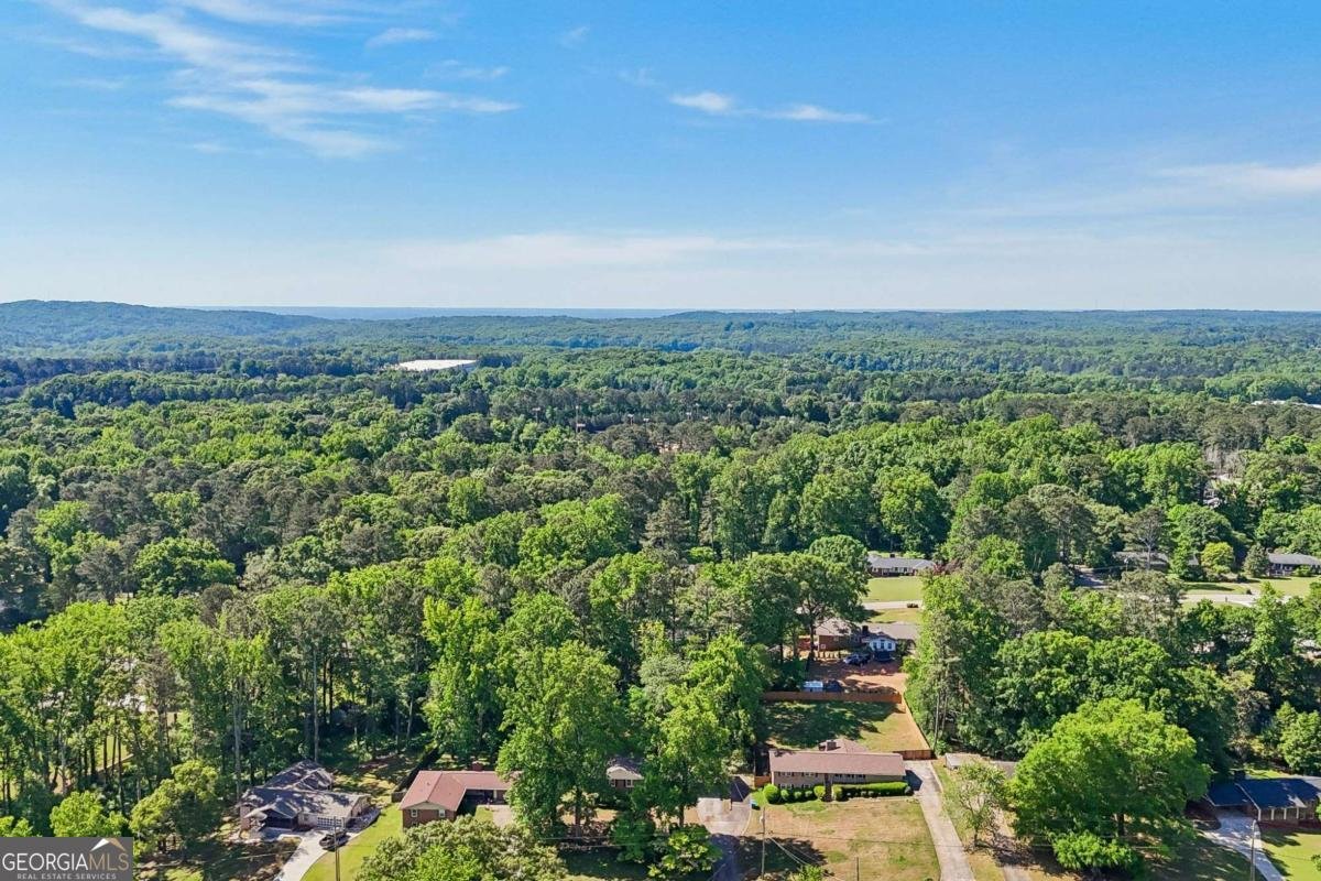 2922 Laura Lane Lithia Springs - Photo 40
