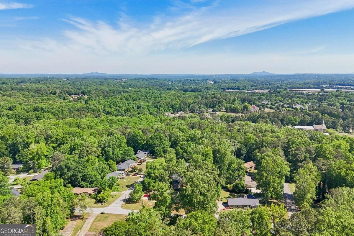 2922 Laura Lane Lithia Springs - Photo 45