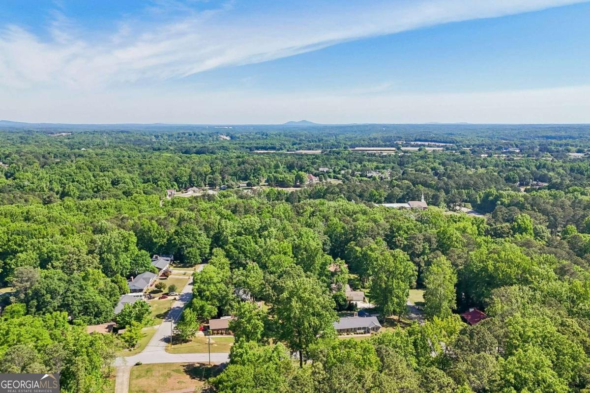 2922 Laura Lane Lithia Springs - Photo 46