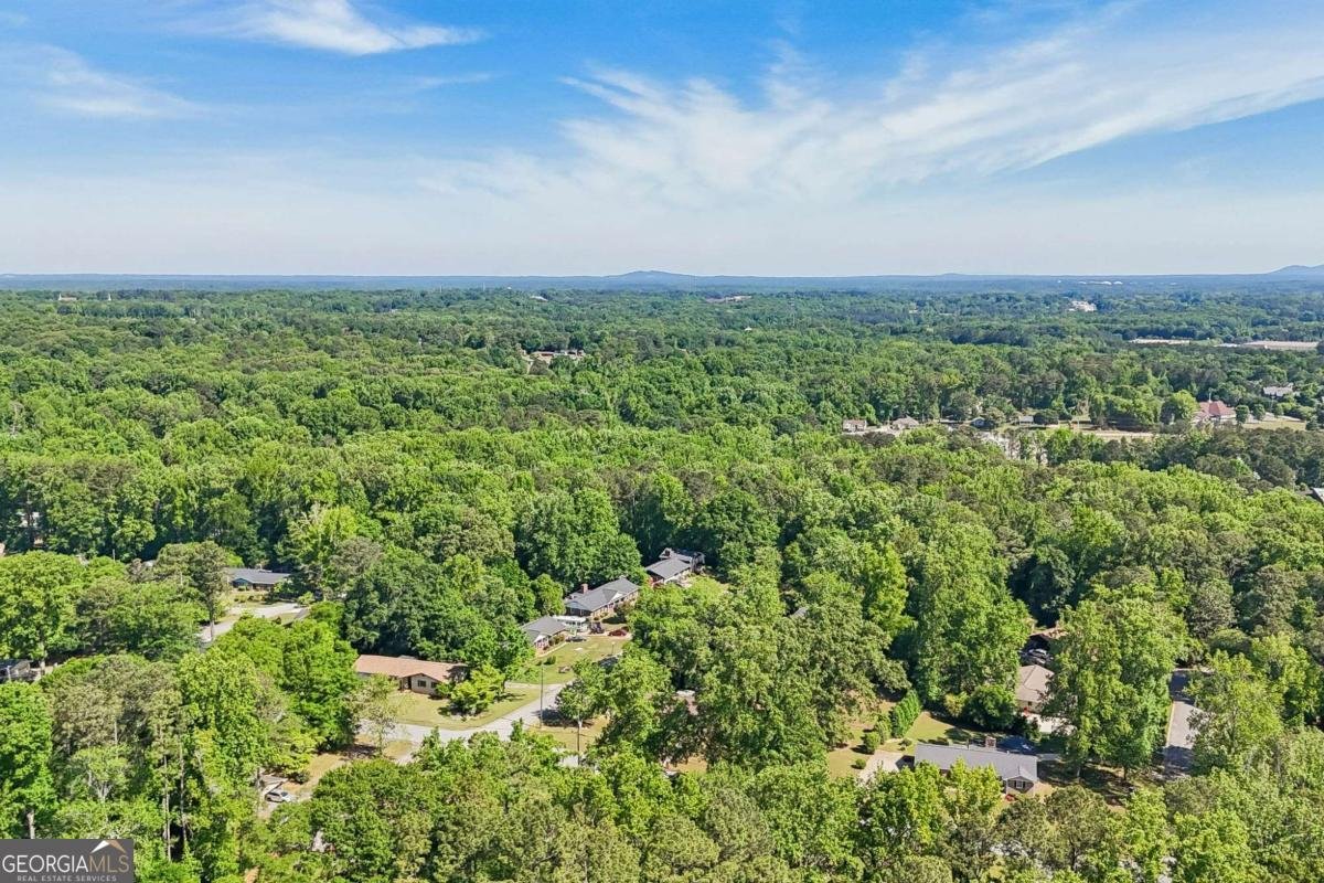 2922 Laura Lane Lithia Springs - Photo 47