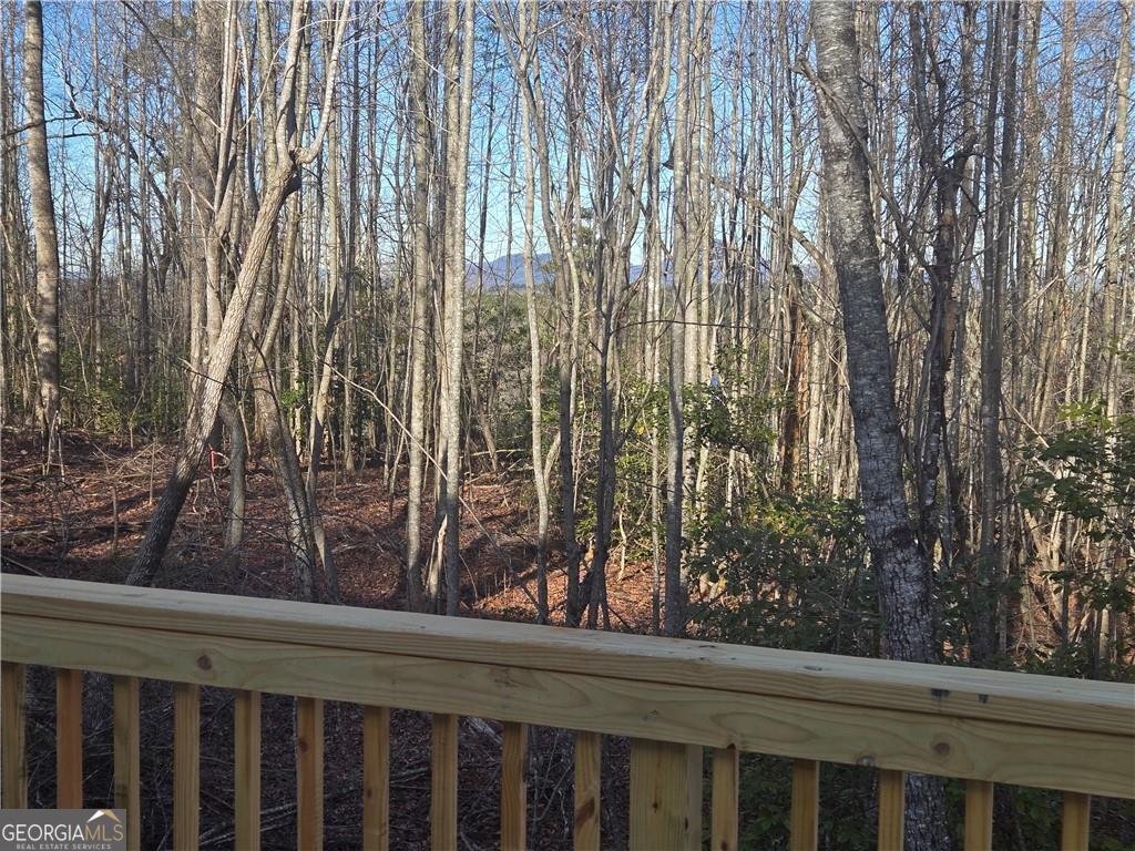 2986 Cannon Bridge Road Demorest - Photo 34