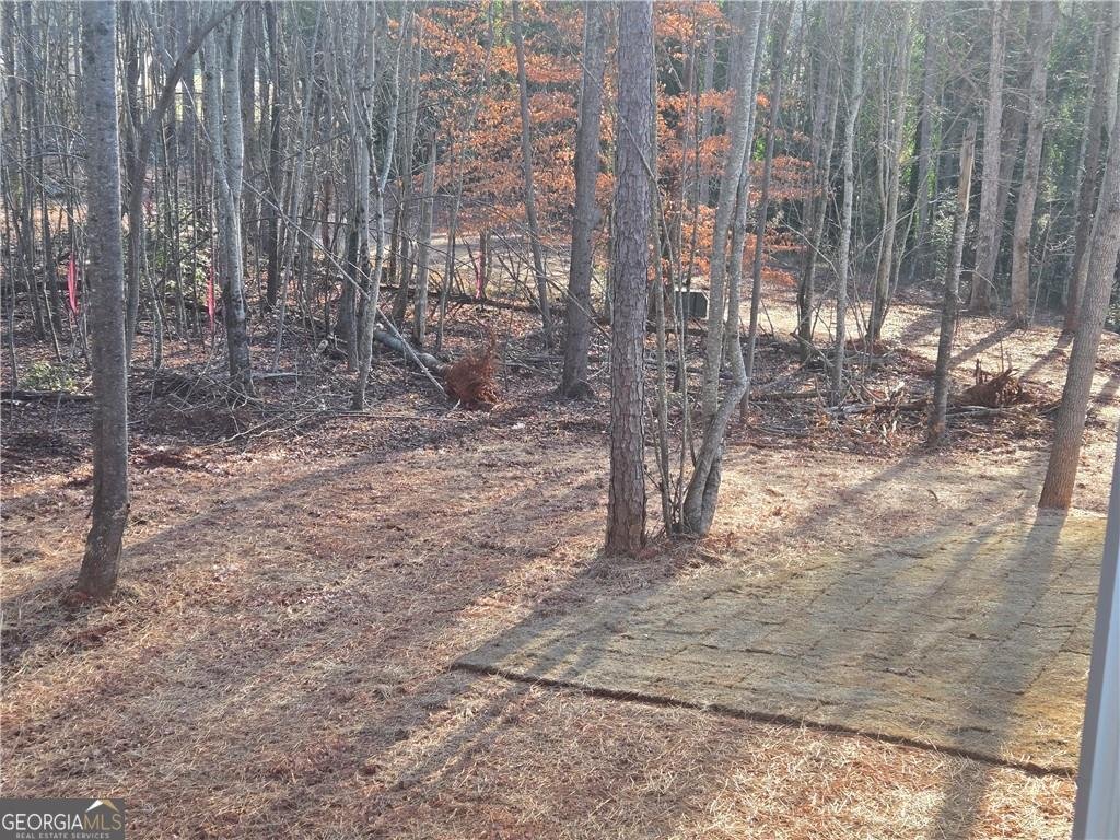 2986 Cannon Bridge Road Demorest - Photo 36