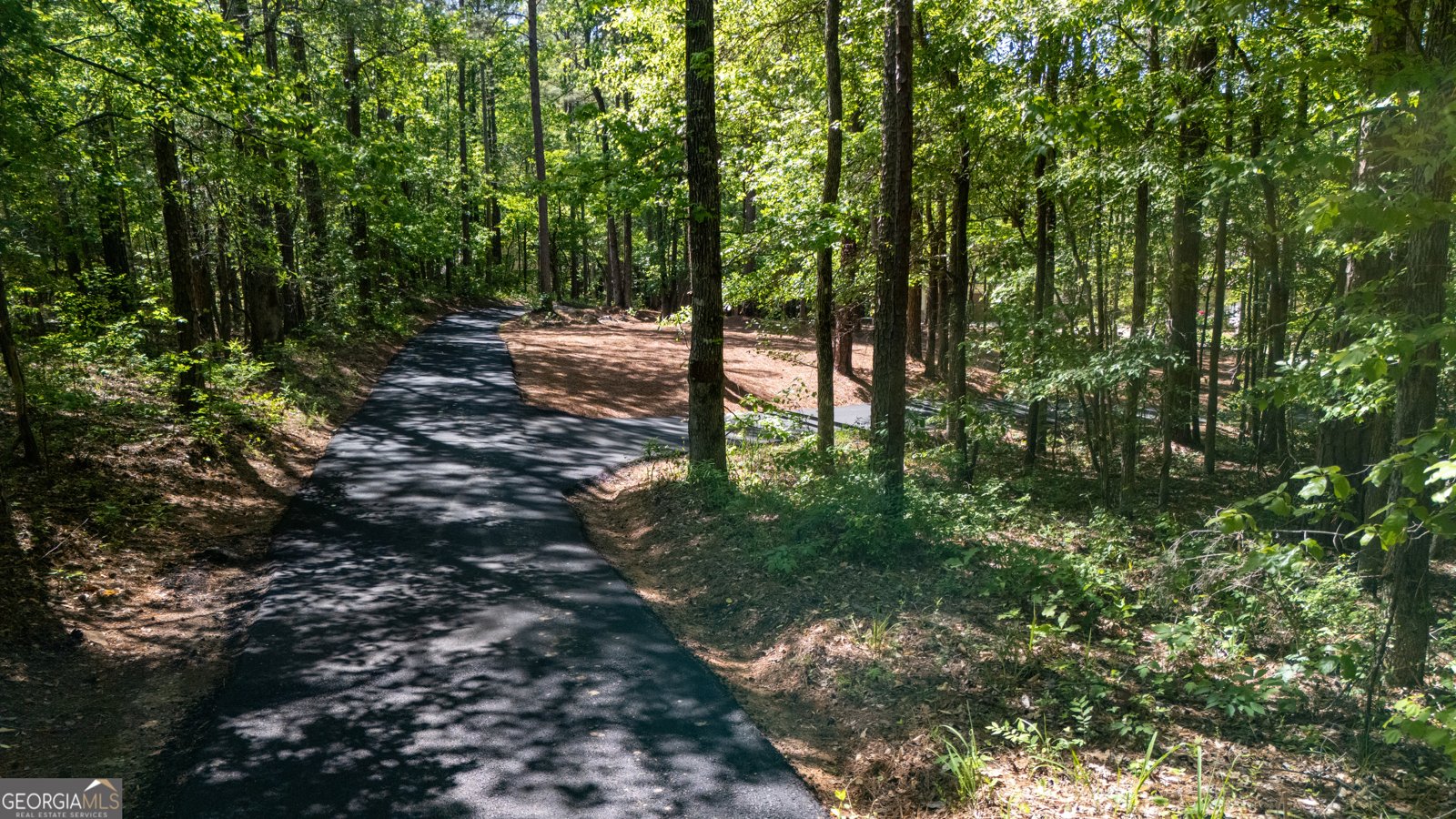 1154 Hunter Road Cataula - Photo 84