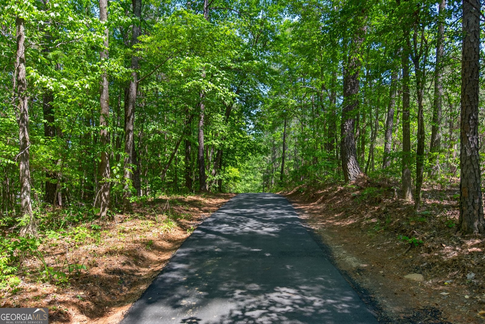 1154 Hunter Road Cataula - Photo 85