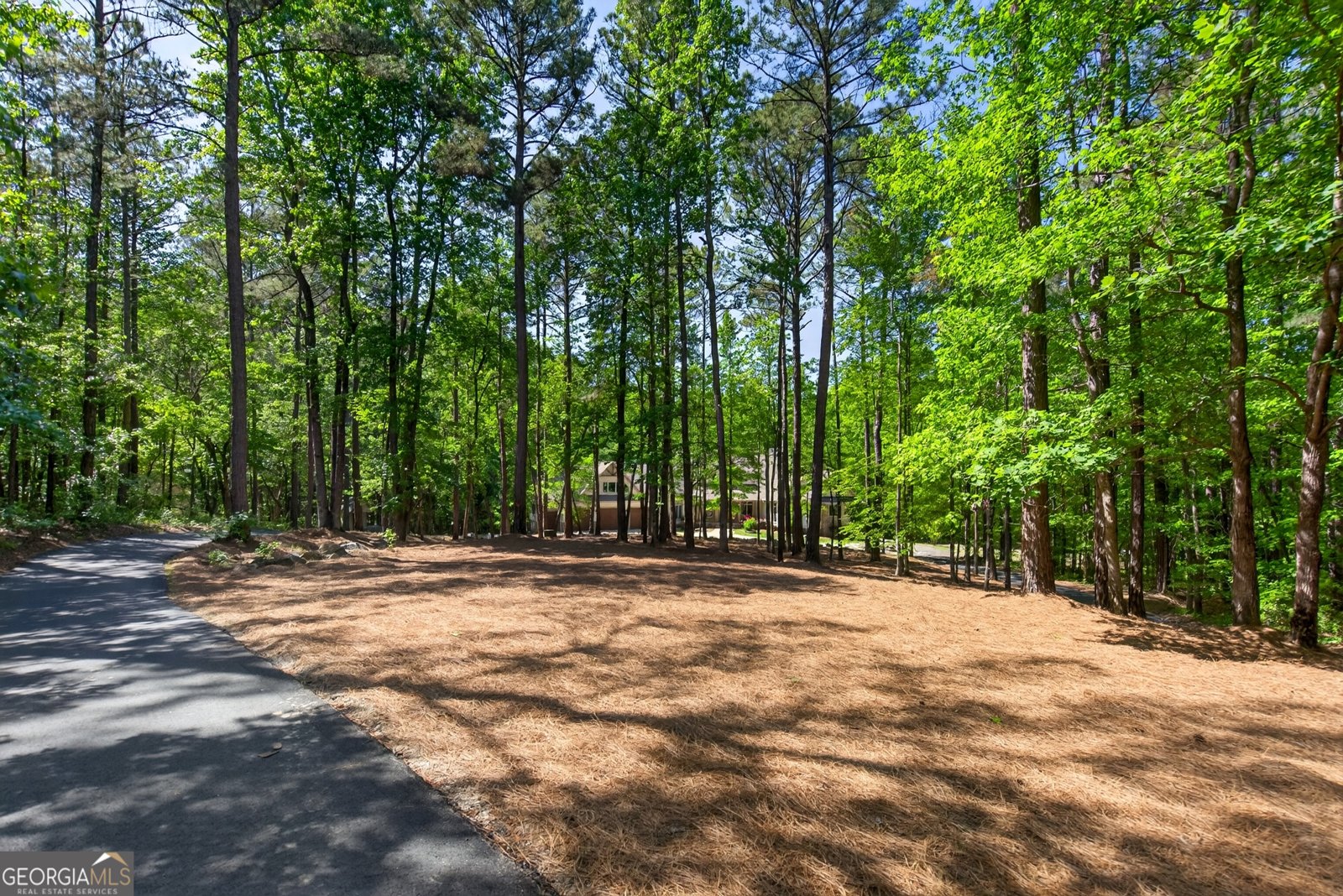 1154 Hunter Road Cataula - Photo 87