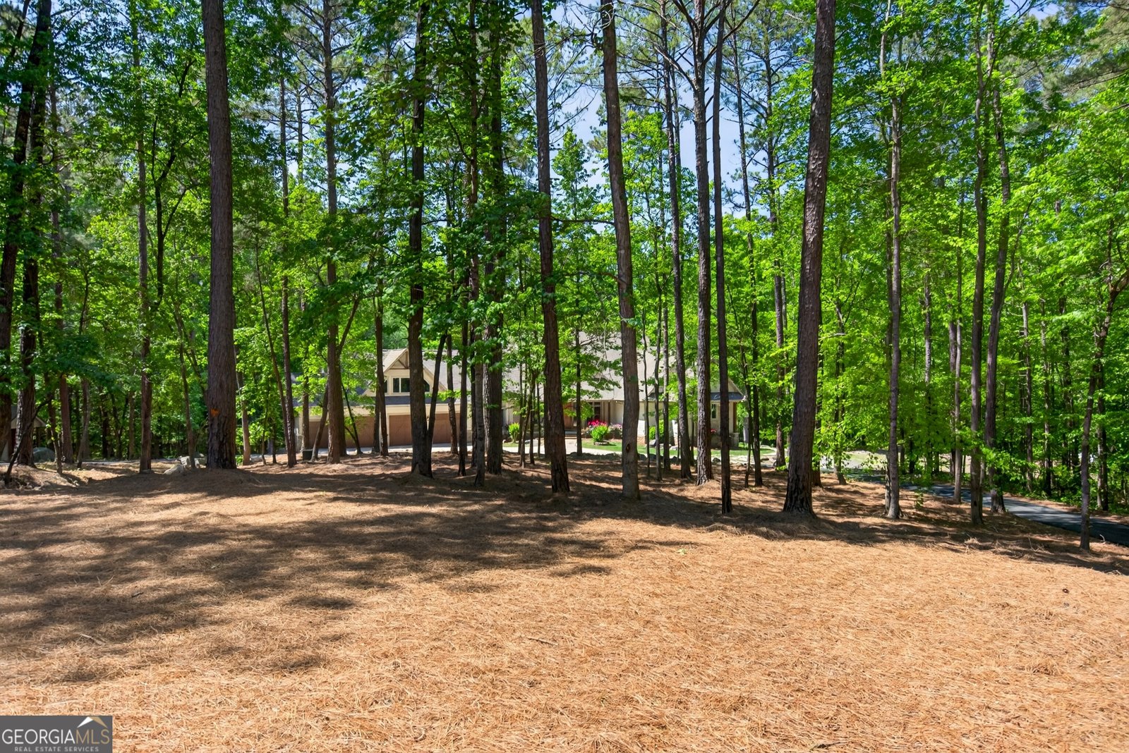 1154 Hunter Road Cataula - Photo 90