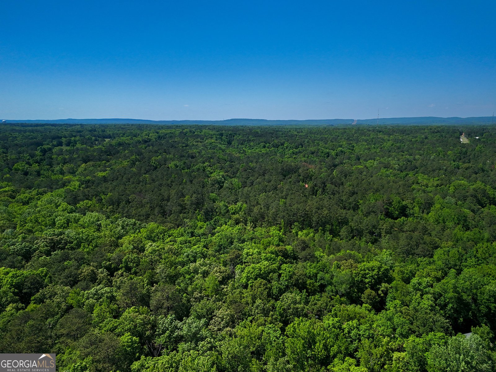 1154 Hunter Road Cataula - Photo 94