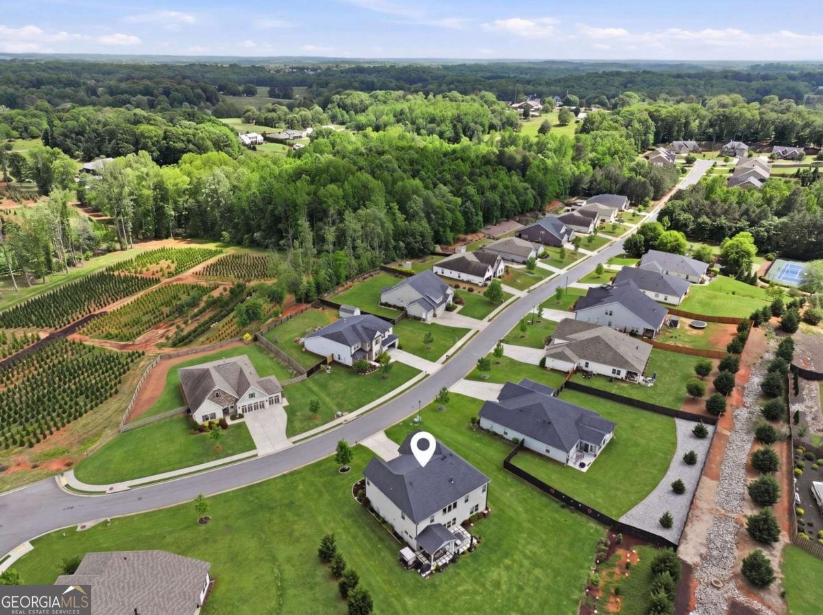 6395 Arlington Circle Cumming - Photo 45