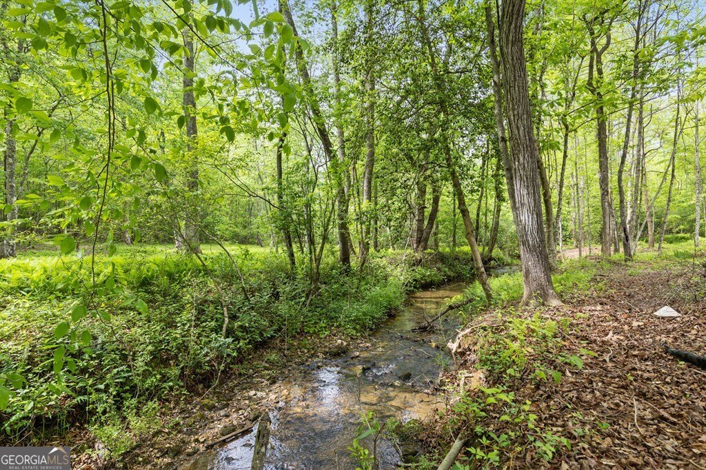 148 Brookwood Drive Blue Ridge - Photo 38