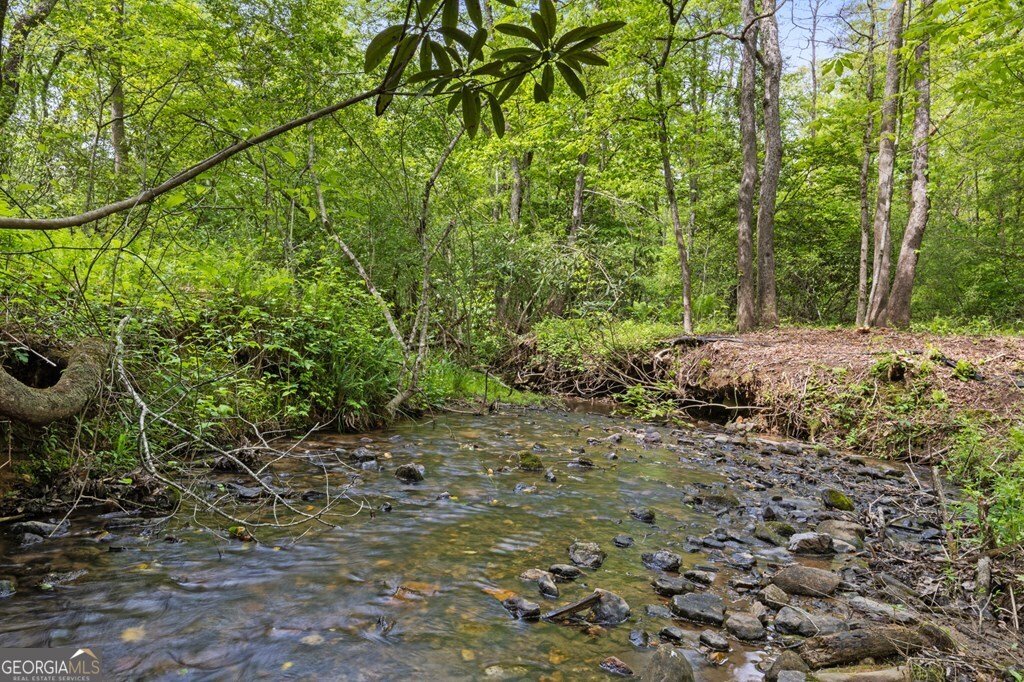 148 Brookwood Drive Blue Ridge - Photo 40
