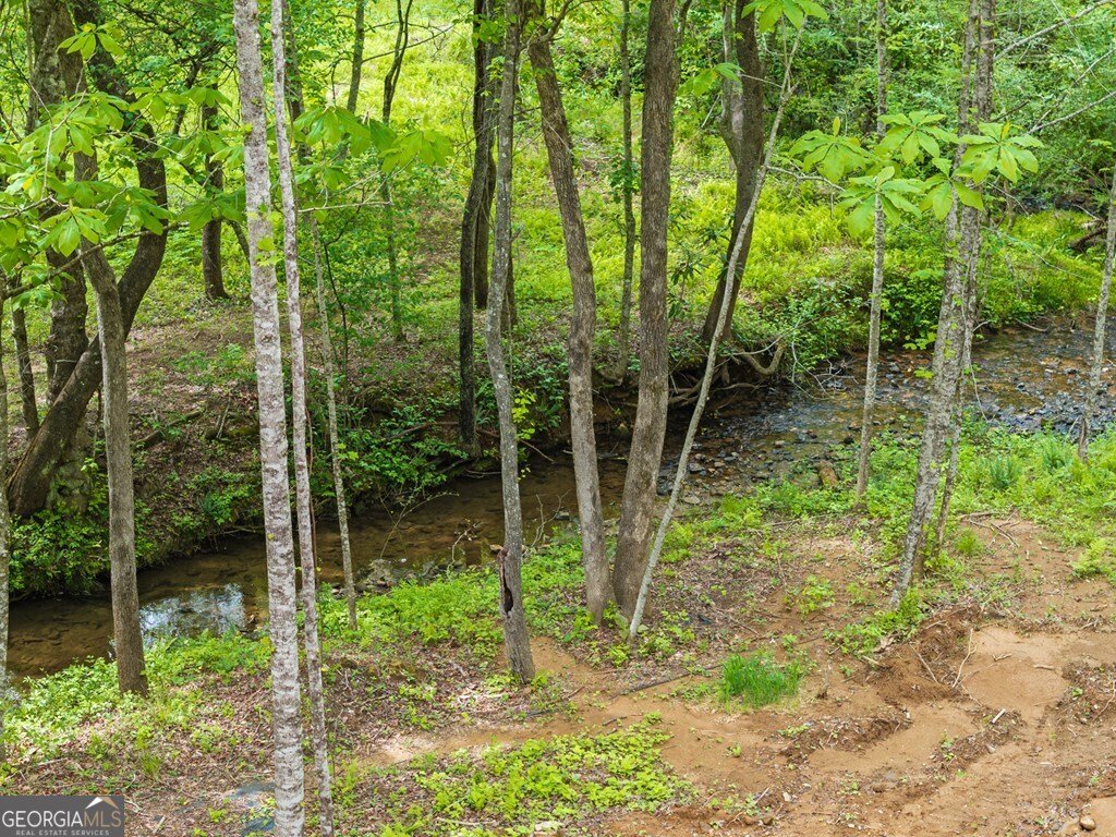148 Brookwood Drive Blue Ridge - Photo 45