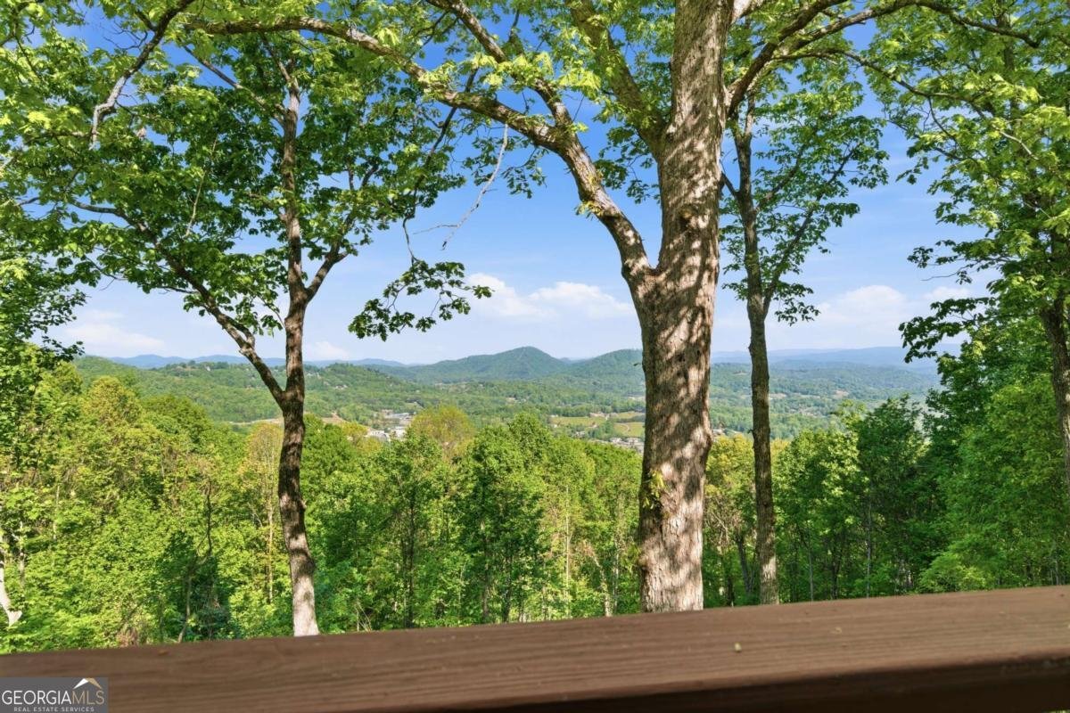 860 Frog Pond Road Hiawassee - Photo 34