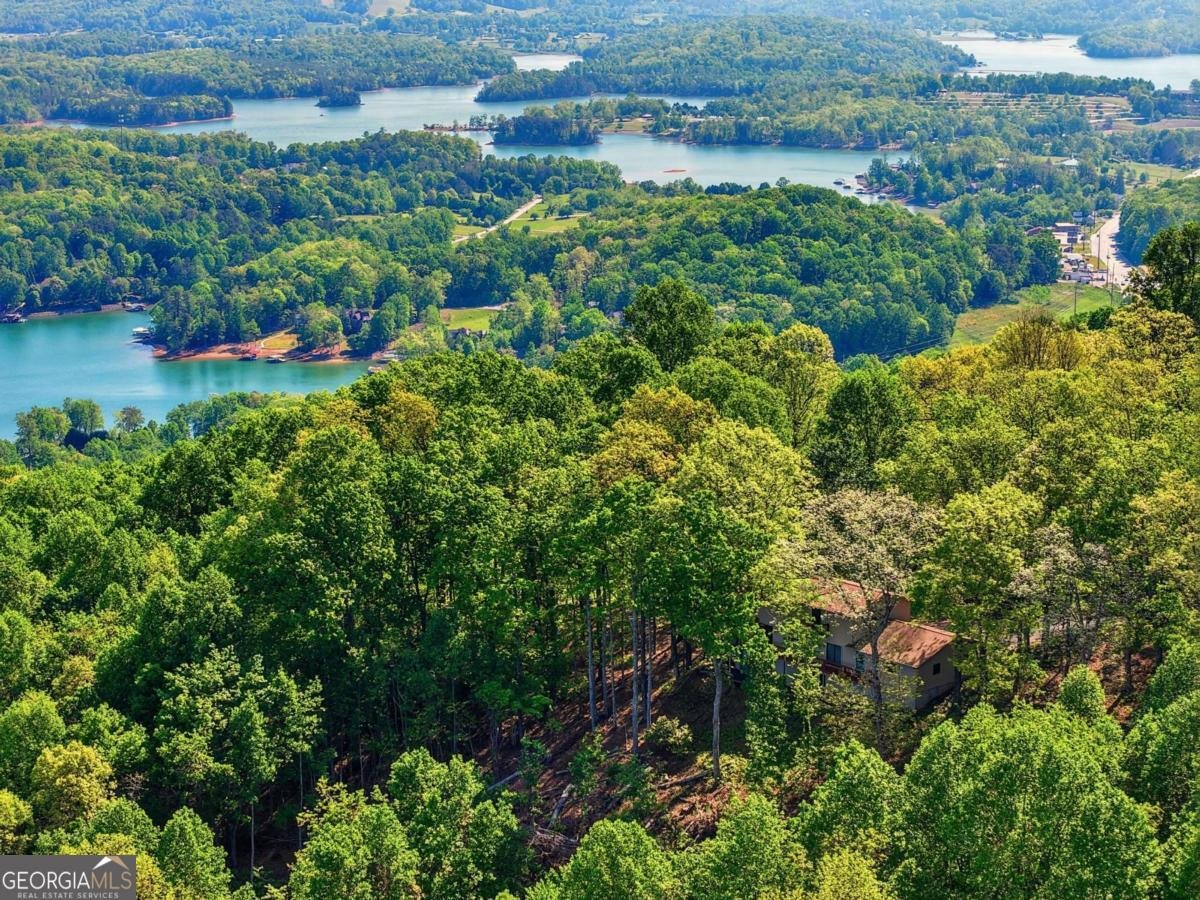 860 Frog Pond Road Hiawassee - Photo 44