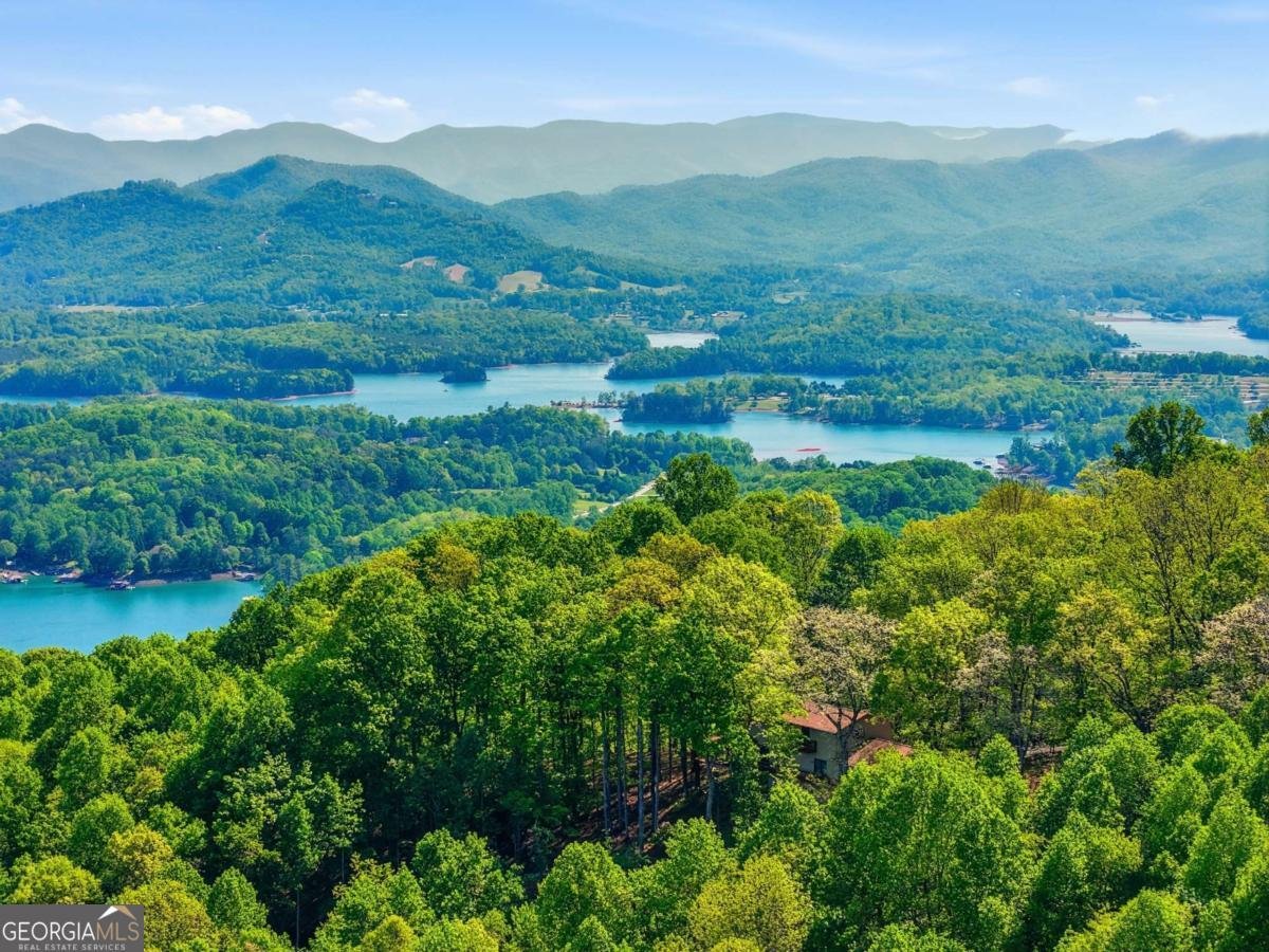 860 Frog Pond Road Hiawassee - Photo 45