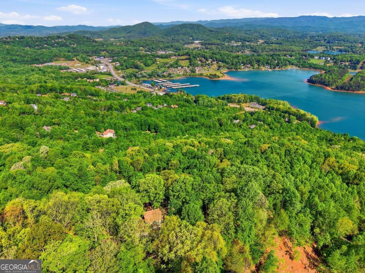 860 Frog Pond Road Hiawassee - Photo 48