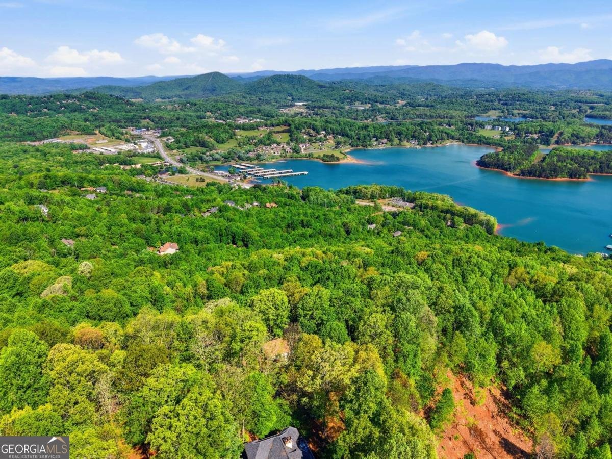 860 Frog Pond Road Hiawassee - Photo 49