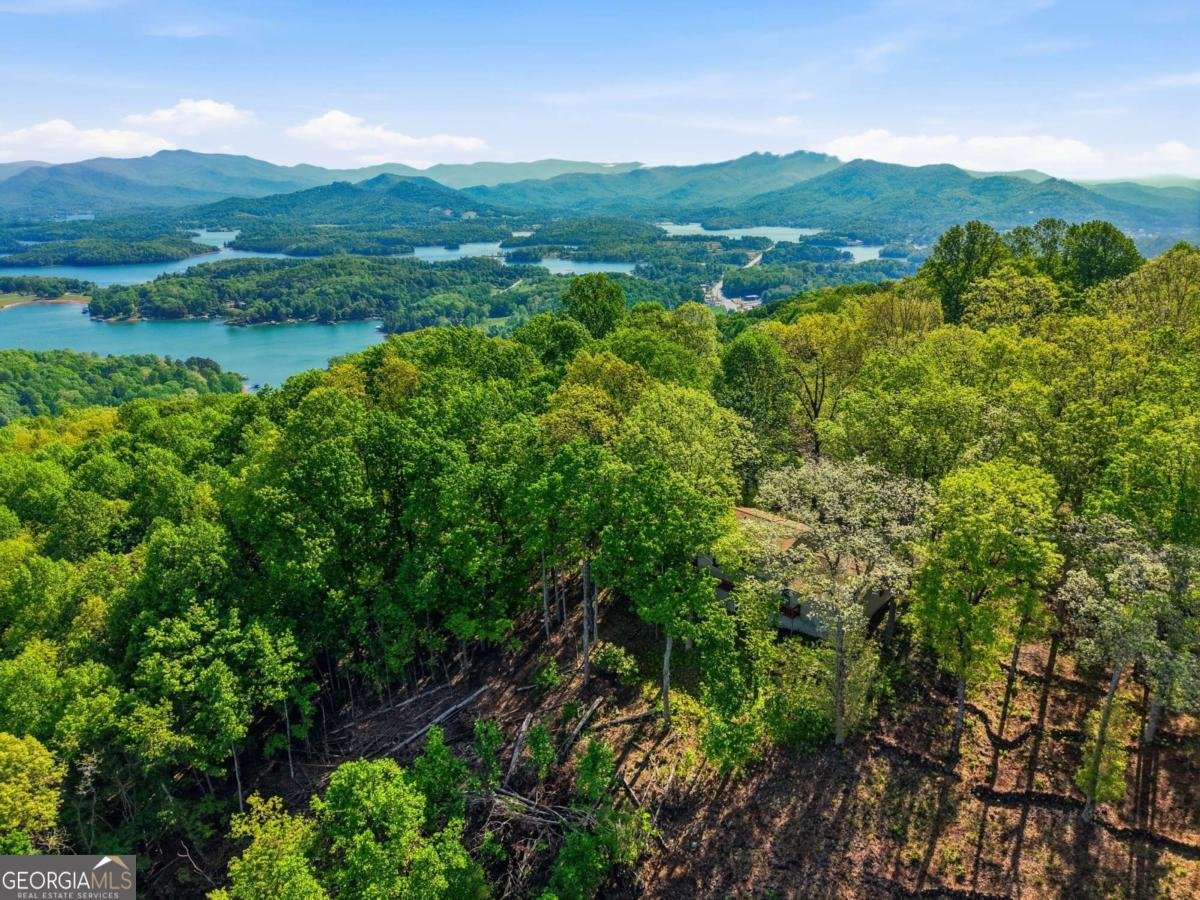 860 Frog Pond Road Hiawassee - Photo 51