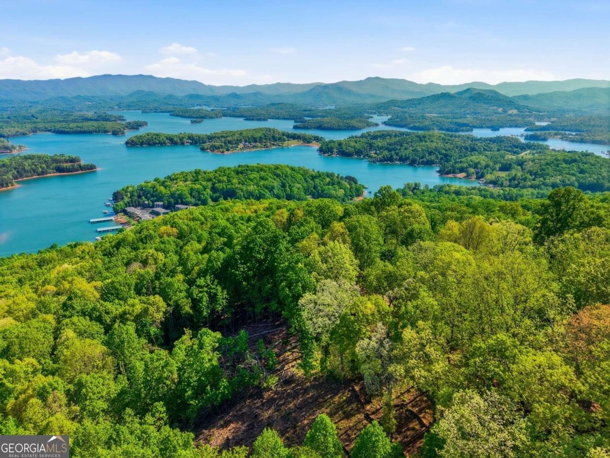 860 Frog Pond Road Hiawassee - Photo 52