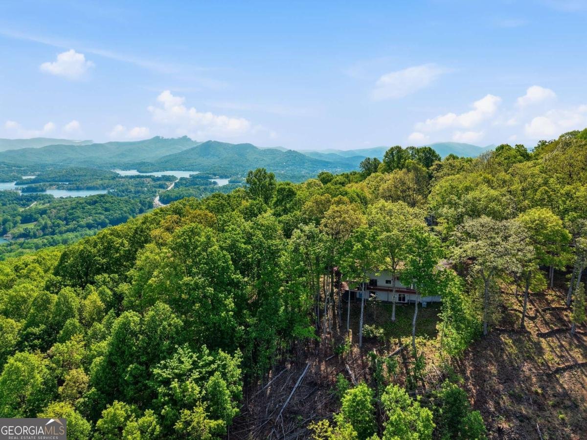 860 Frog Pond Road Hiawassee - Photo 6