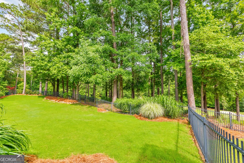 1327 Bridge Mill Avenue Canton - Photo 108