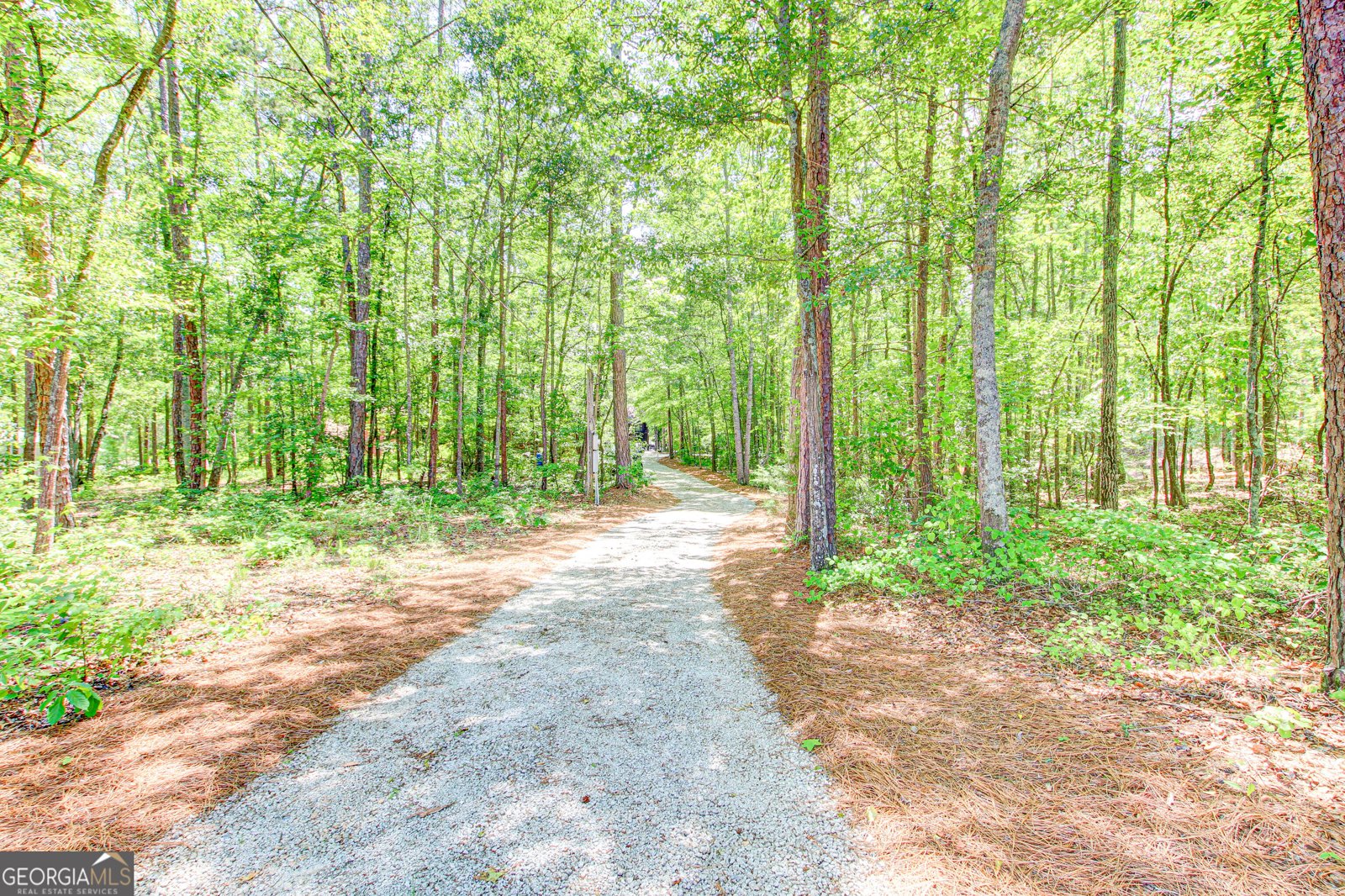 496 Cedar Valley Drive Wedowee - Photo 33